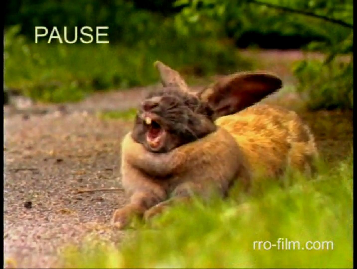 pause - film